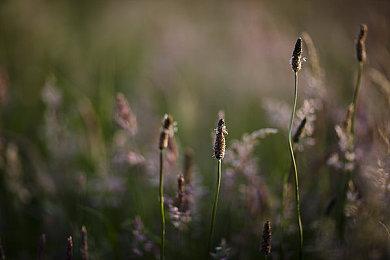 《绝地潜兵2》打破游戏界常态 三周后销量仍在攀升